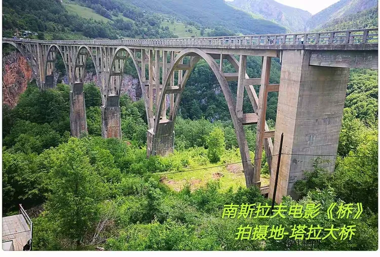 包含黑山主场-小胜塞尔维亚，小组晋级前景看好的词条